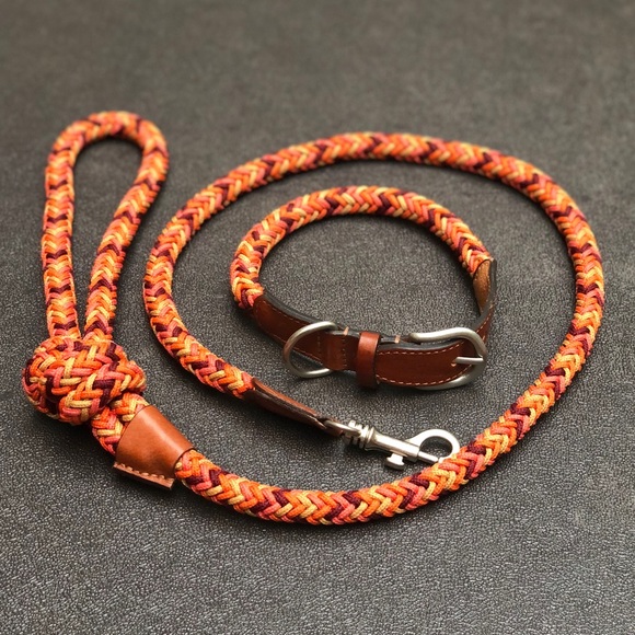 ⭐️Host Pick⭐️ Zara Multi-Coloured Braided Leash and Collar - Picture 10 of 12